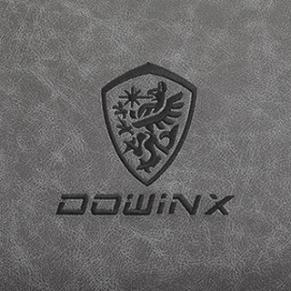 Dowinx Gaming Chairs